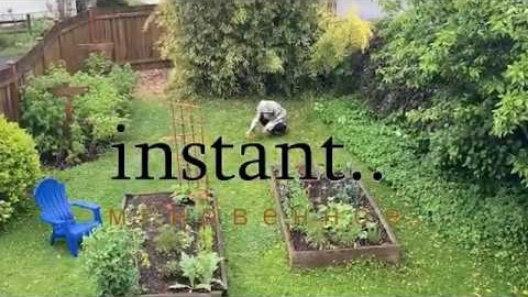 instant..