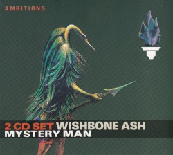Mystery Man
