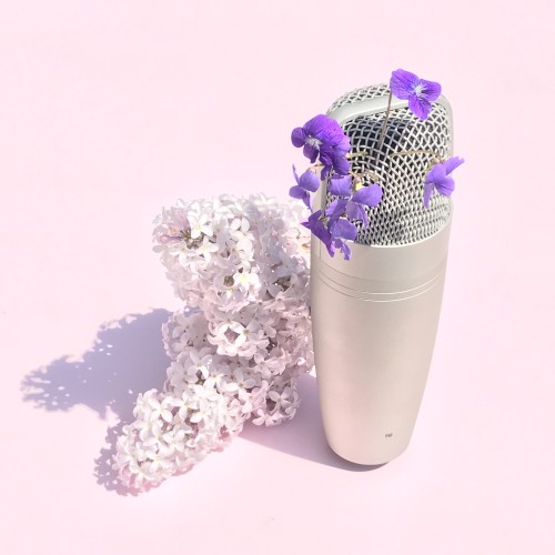 She Used To Sing