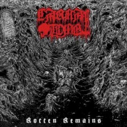 Rotten Remains