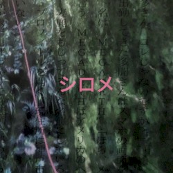 Nuilloop バリ山行