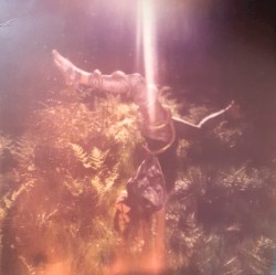 Comets Come Alive