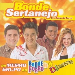 Um Amor de Forró VOLUME 1
