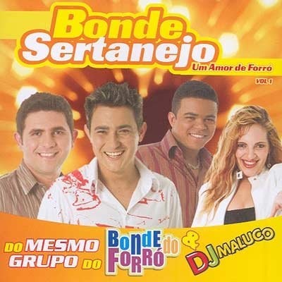 Um Amor de Forró VOLUME 1