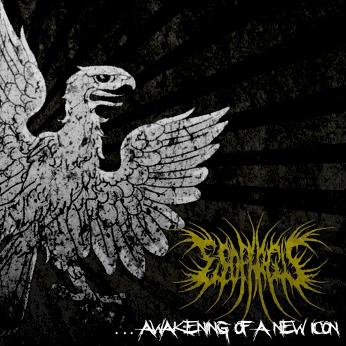 ...Awakening of a New Icon