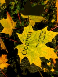 The Rustling of Leaves