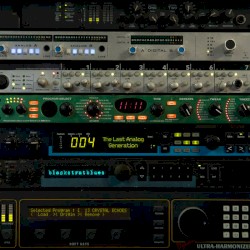 The Last Analog Generation