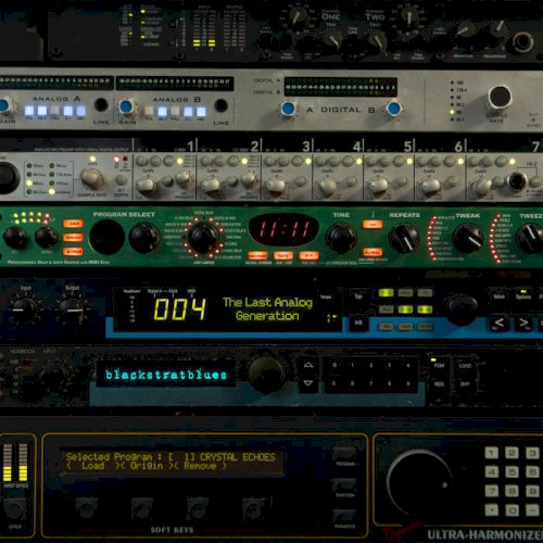 The Last Analog Generation