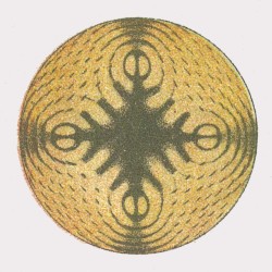 DFSANT 03