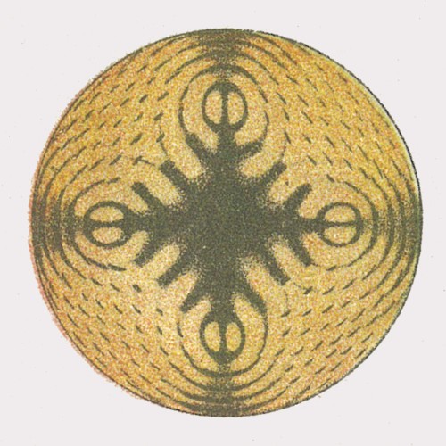DFSANT 03