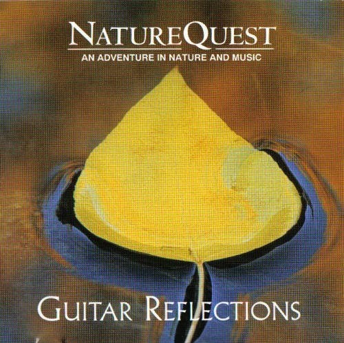 Guitar Reflections