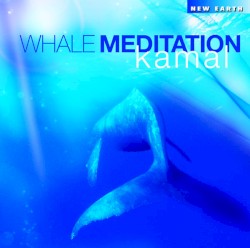Whale Meditation