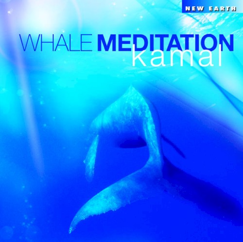 Whale Meditation