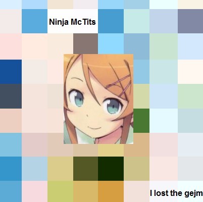 I Lost The Gejm