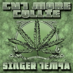 Cut More Collie