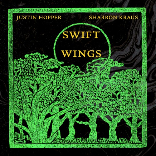 Swift Wings