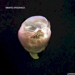 Mente Orgánica
