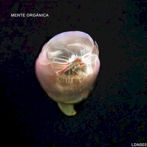 Mente Orgánica