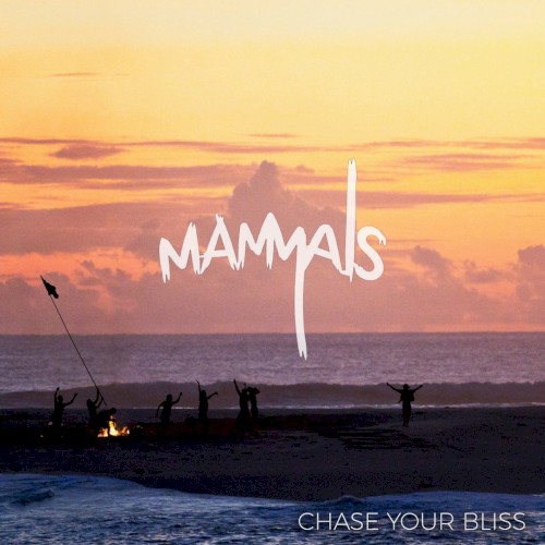 Chase Your Bliss