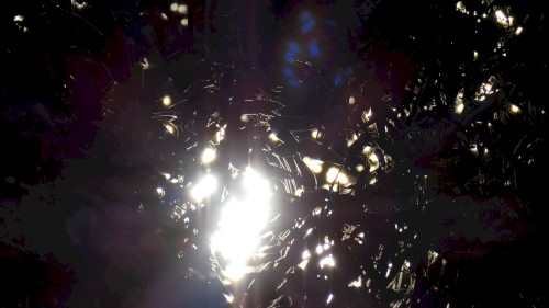 ray/wave