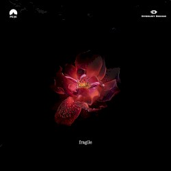 Fragile