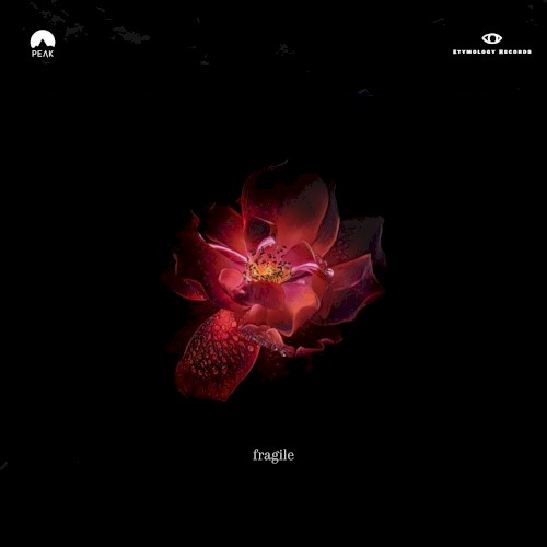 Fragile