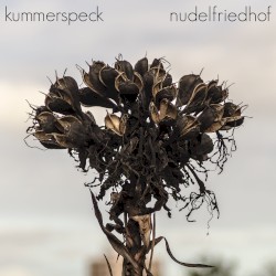 Nudelfriedhof
