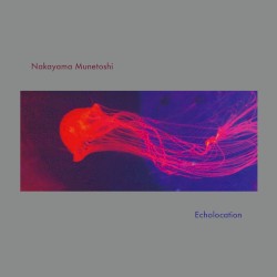 Echolocation