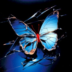 Fly By Night