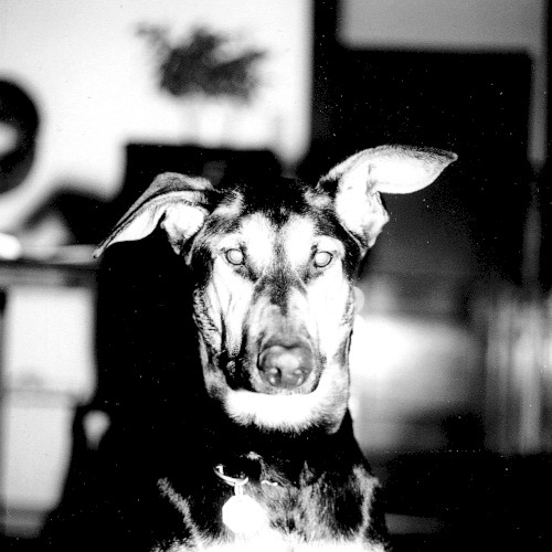 Mama Didn't Raise No Punk, I Made Myself One E.P.
