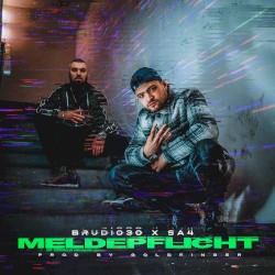 Meldepflicht