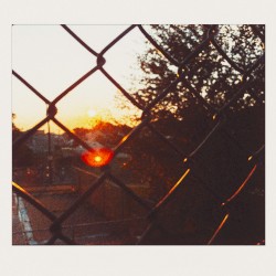 Demo Eleven