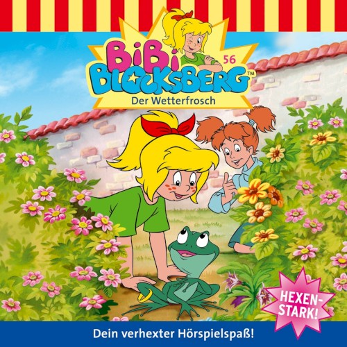 Bibi Blocksberg, Folge 56: Der Wetterfrosch