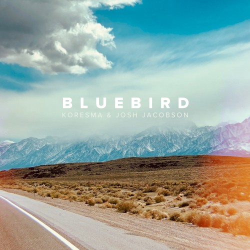 Bluebird