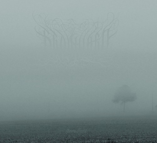 Brouillard