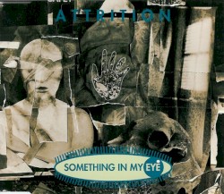 Something in My Eye