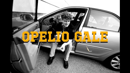 Opelio gale
