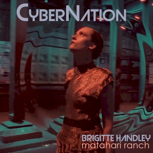 Cyber Nation