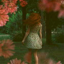 Next Life