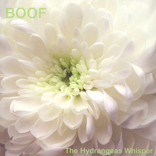 The Hydrangeas Whisper