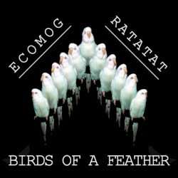 Birds of a Feather