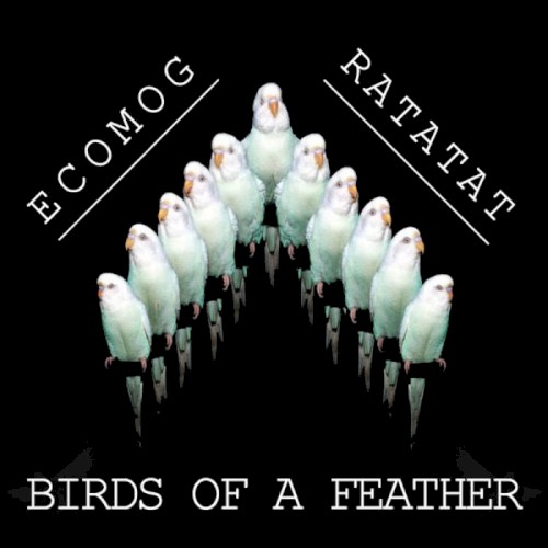 Birds of a Feather