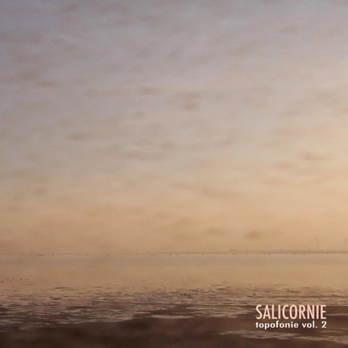 Salicornie (Topofonie Vol. 2)