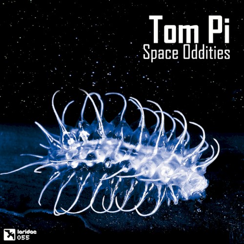 Space Oddities