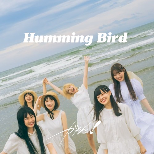Humming Bird