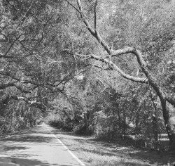 Various Paths