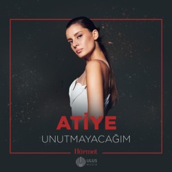 Unutmayacağım (İbrahim Erkal Hürmet)