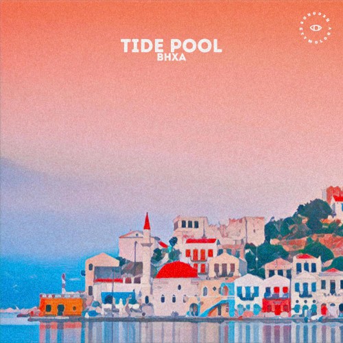 tide pool