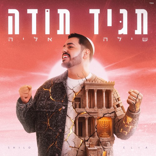 תגיד תודה