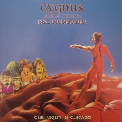 One Night in Chicago